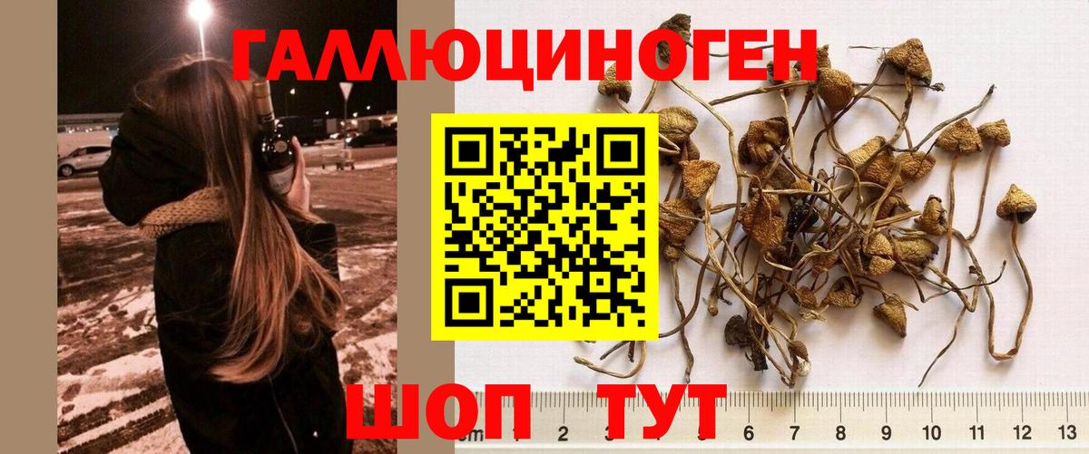 Псилоцибиновые грибы мухоморы  Псилоцибиновые грибы Cubensis  Вход с VPN  Белая Калитва 