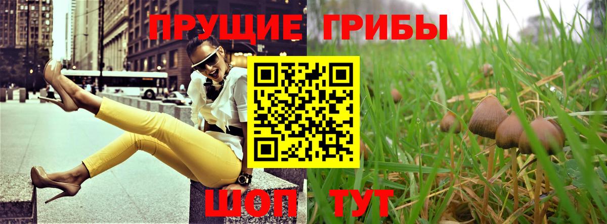 Псилоцибиновые грибы мухоморы Белая Калитва